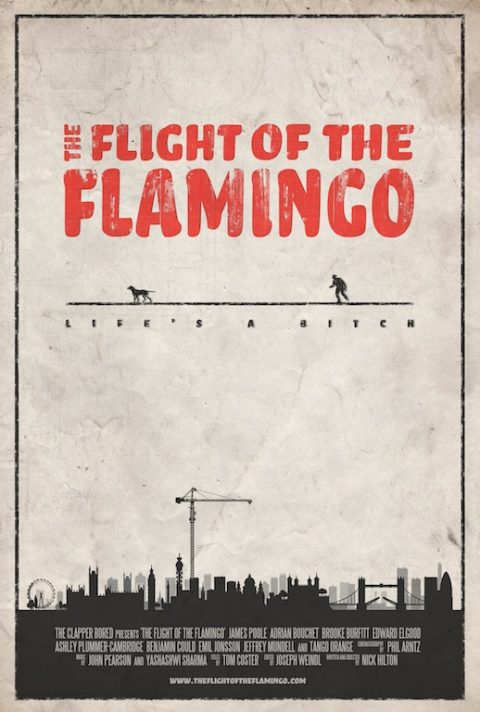 Flight Of The Flamingo