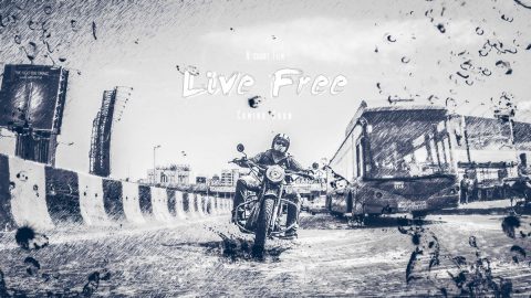 Live Free