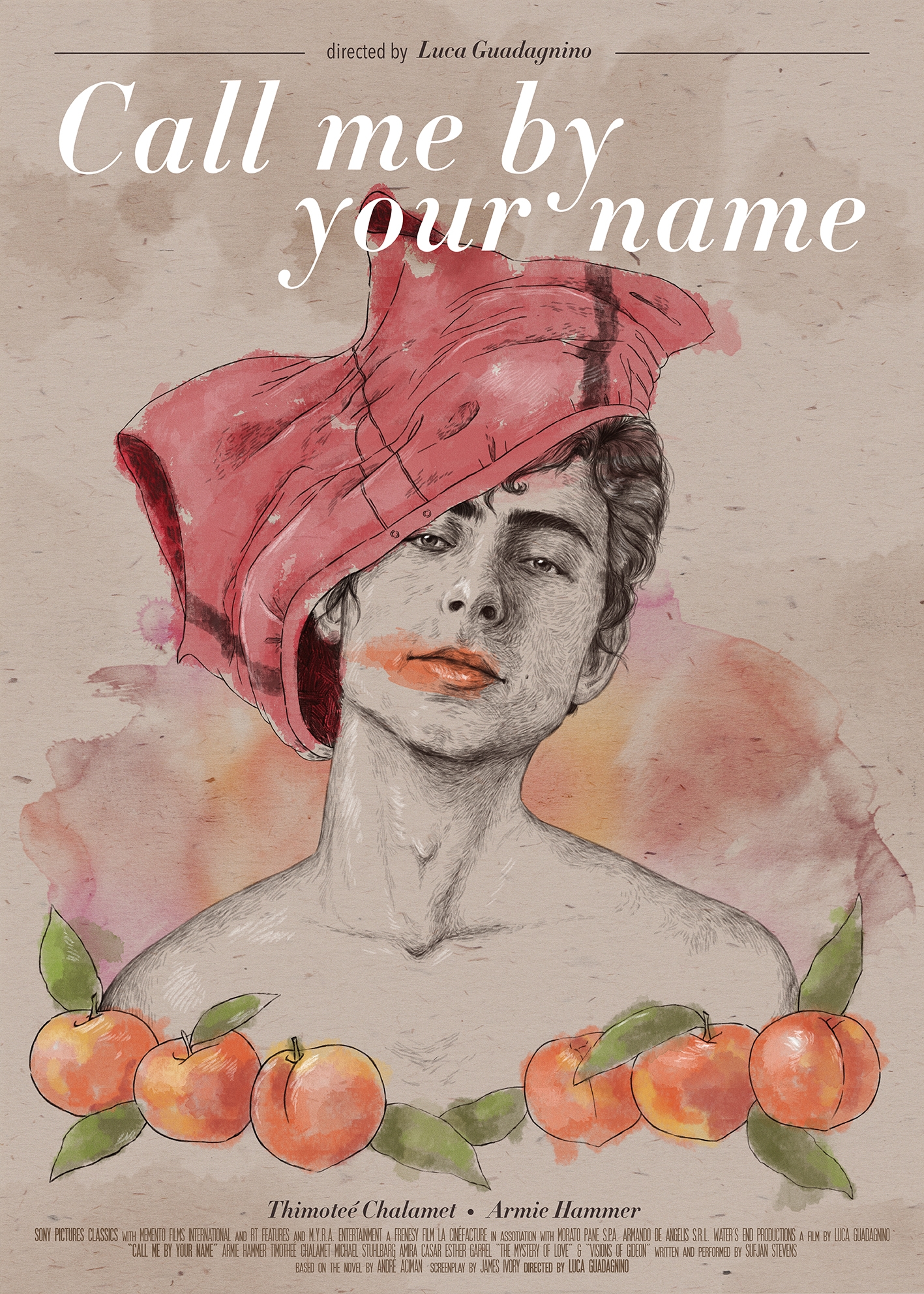 Art Poster 24x36 27x40 Call Me By Your Name Movie Luca Guadagnino Film T-2491 