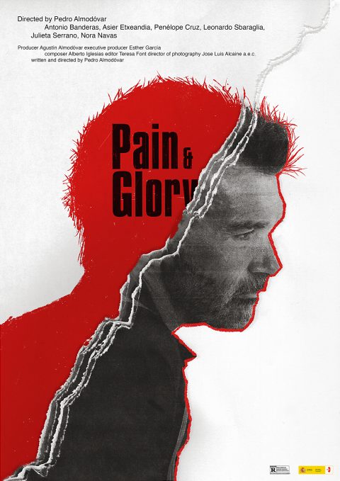 Pain and glory