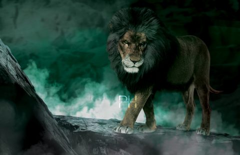 The Lion King: Scar (Photo Manipulation)