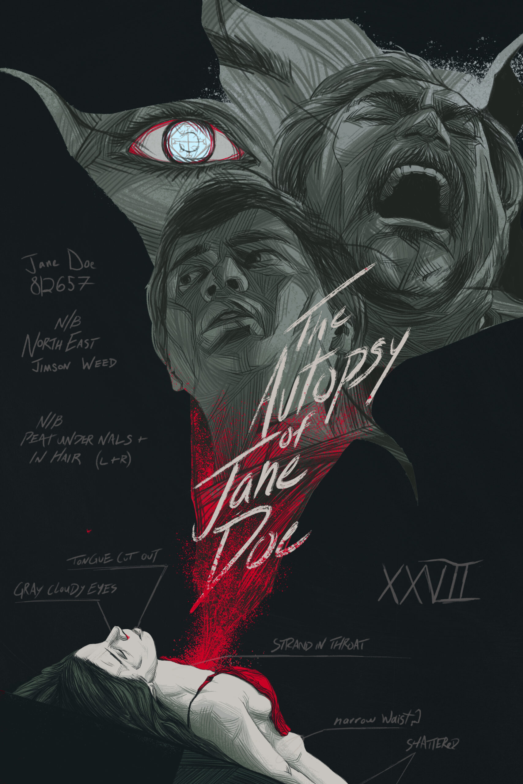 The Autopsy Of Jane Doe Hemphill Designs Posterspy