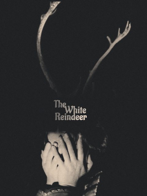 The White Reindeer