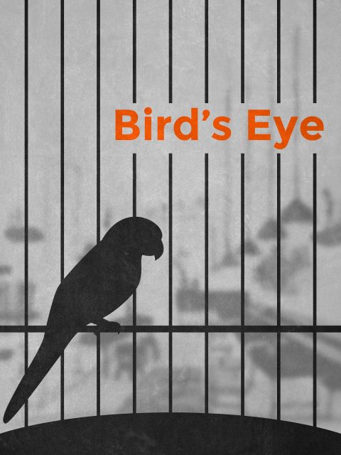 Bird’s Eye