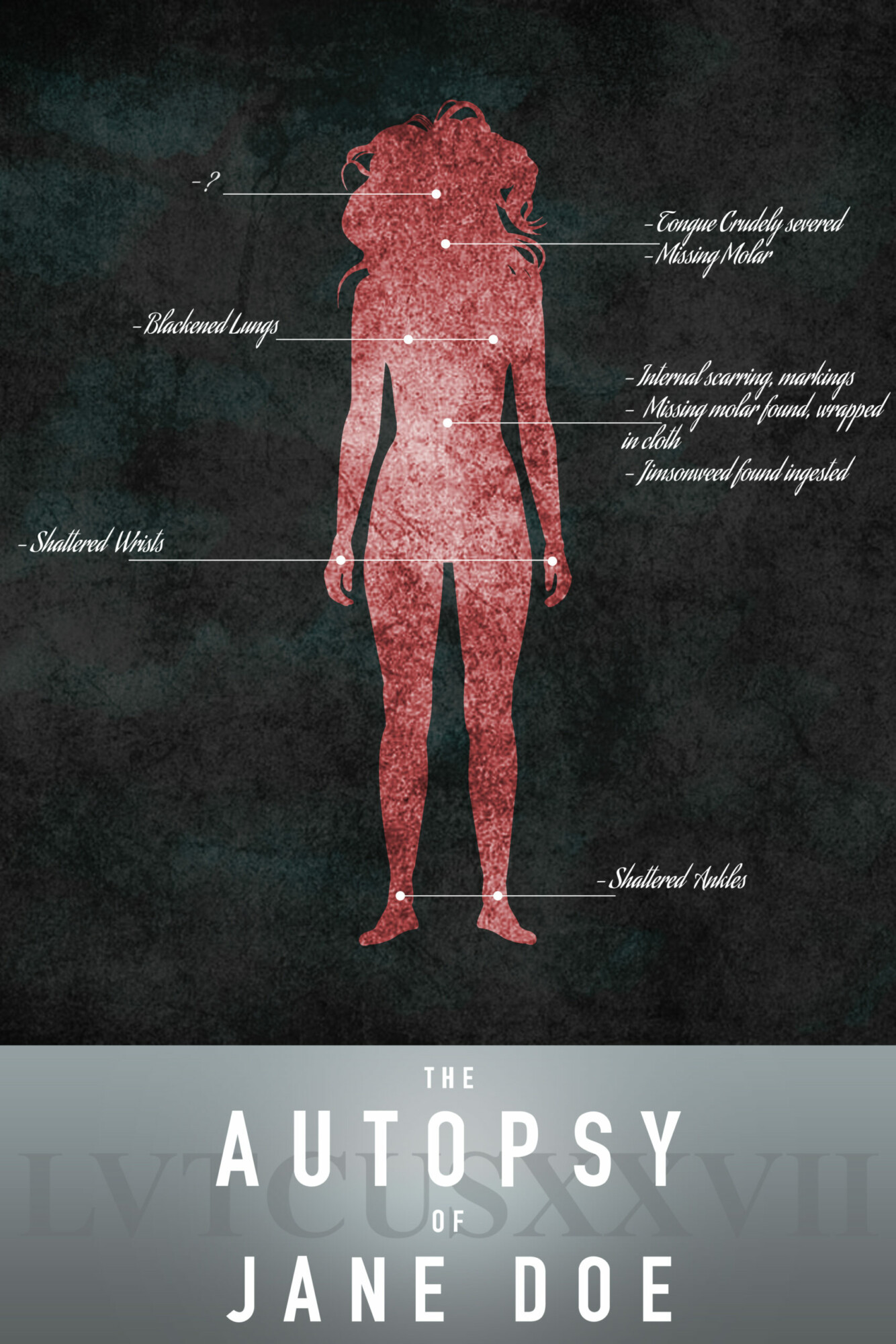 the-autopsy-of-jane-doe-poster-by-dalanoverstreet