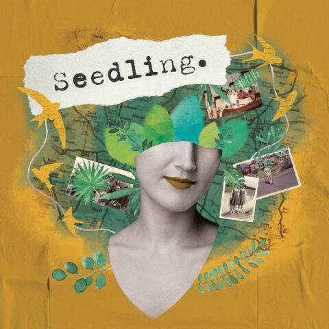 Seedling Poster