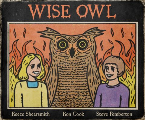 Inside No.9 alternative episode poster for WISE OWL