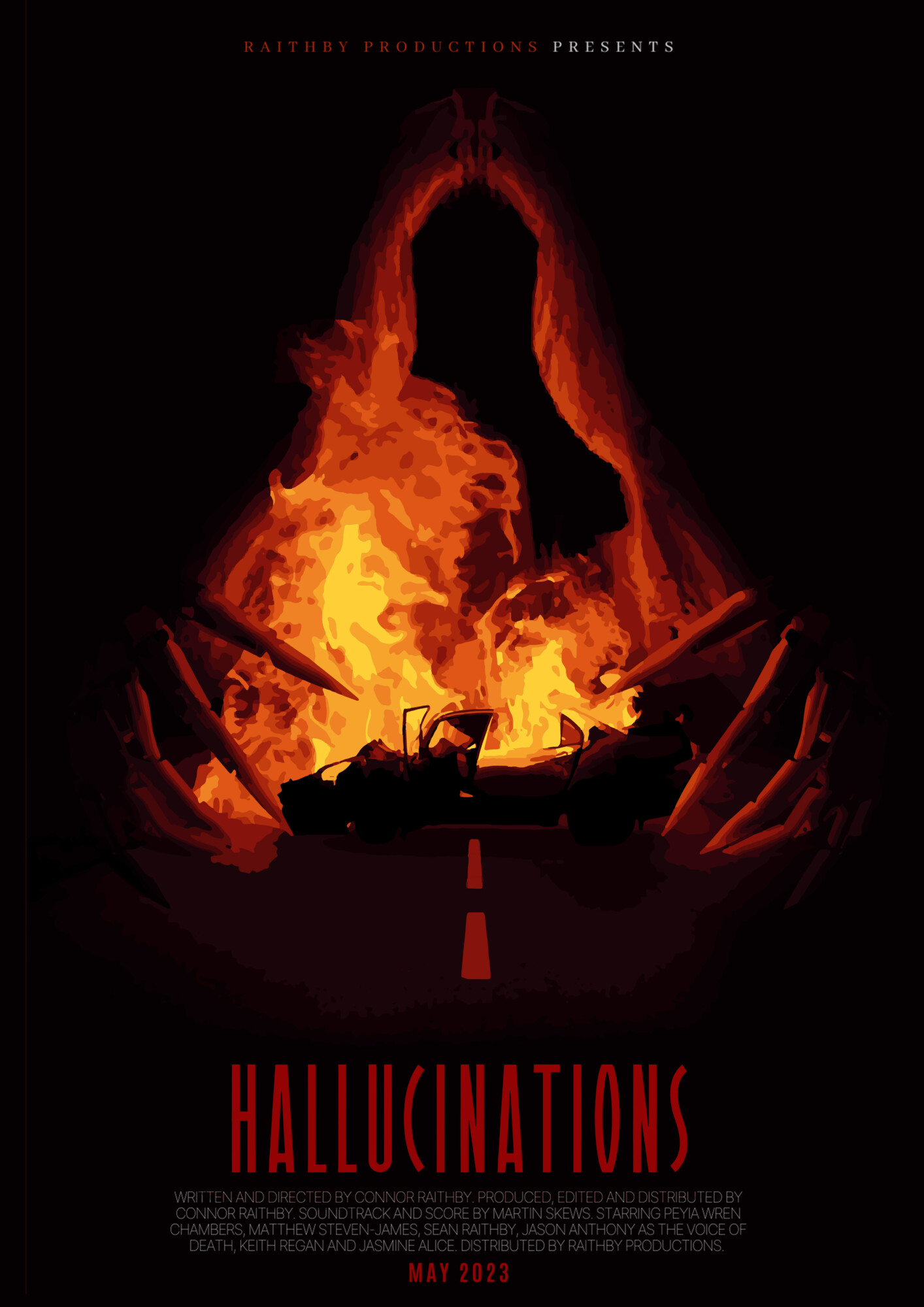Hallucinations Poster