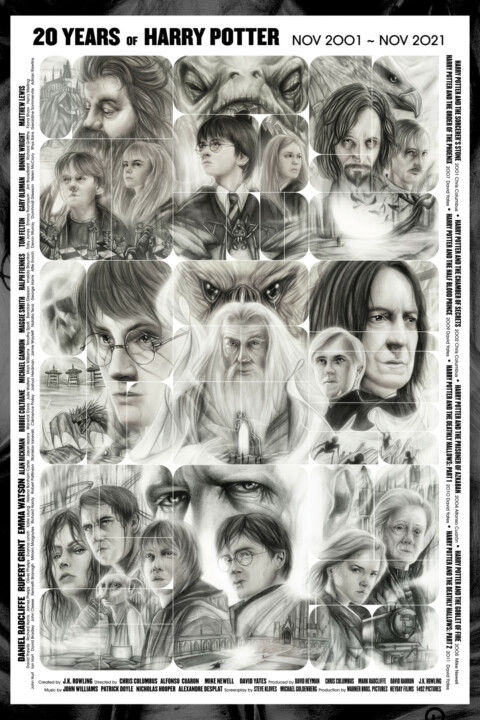 20th Anniversary of Harry Potter