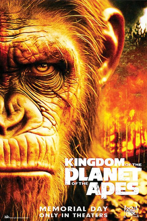 Kingdom of the planet of the apes. 2024