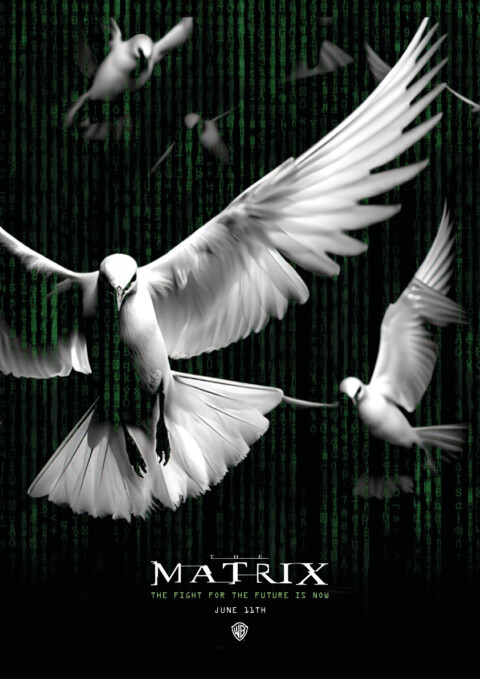 25 years of the Matrix