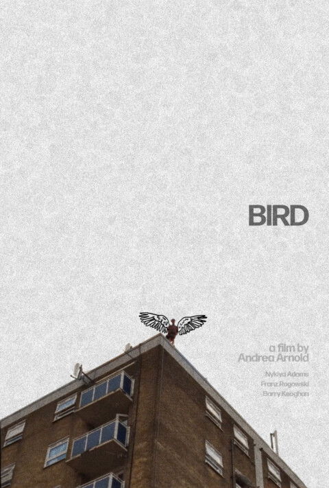 Bird (2024) – Bobby Redmond Design – Poster 2