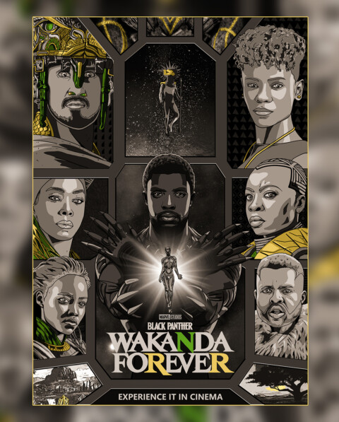 NO.17 DS2022-15 Black Panther: Wakanda Forever