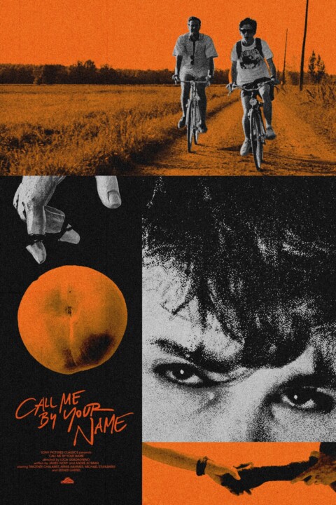 Call Me By Your Name (2017)