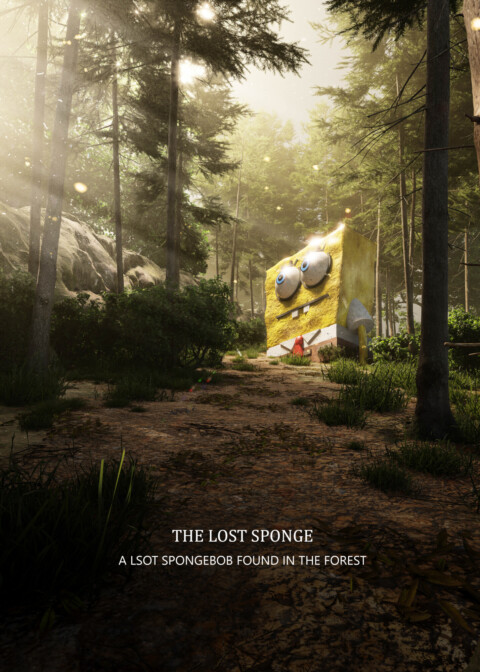 The Lost Sponge