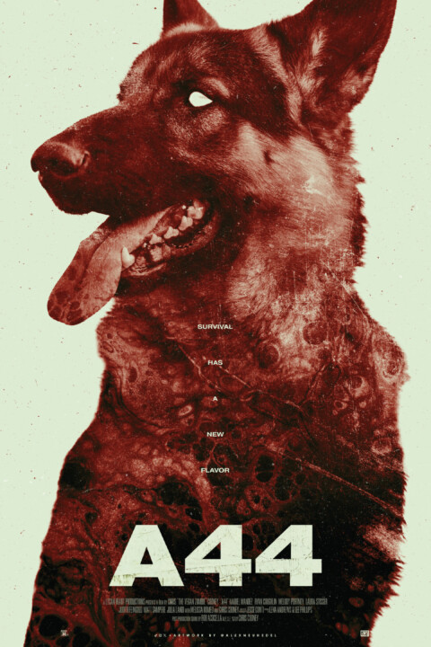 A44 (2025)