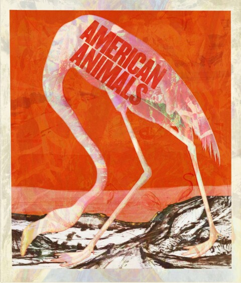 American Animals