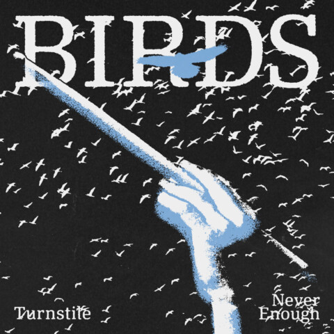 BIRDS by Turnstile